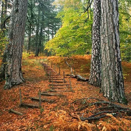 La Mia Valigia “casetta Fragolina” Apartamento