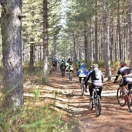 Apartamento La Mia Valigia “casetta Fragolina”