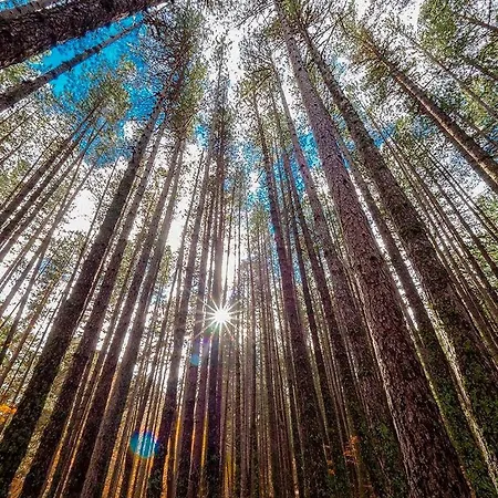 La Mia Valigia “casetta Fragolina”