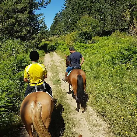 Apartamento La Mia Valigia “casetta Fragolina” *