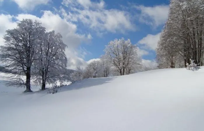 La Mia Valigia “casetta Fragolina”
