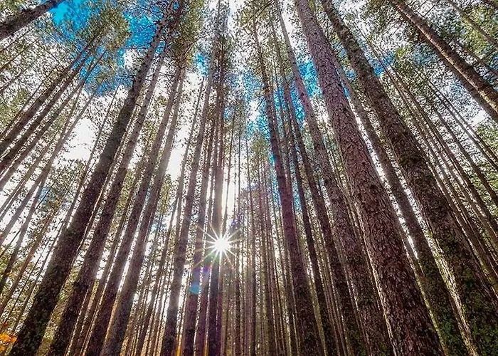 La Mia Valigia “casetta Fragolina”